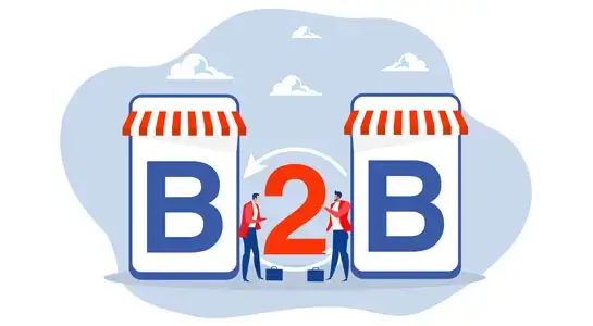 B2B e-commerce solutions