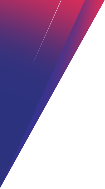 Website Pain Section