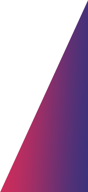 Website Pain Section