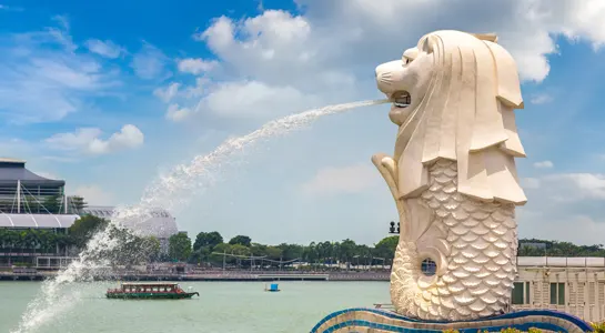 Digital marketing services in Singapore
